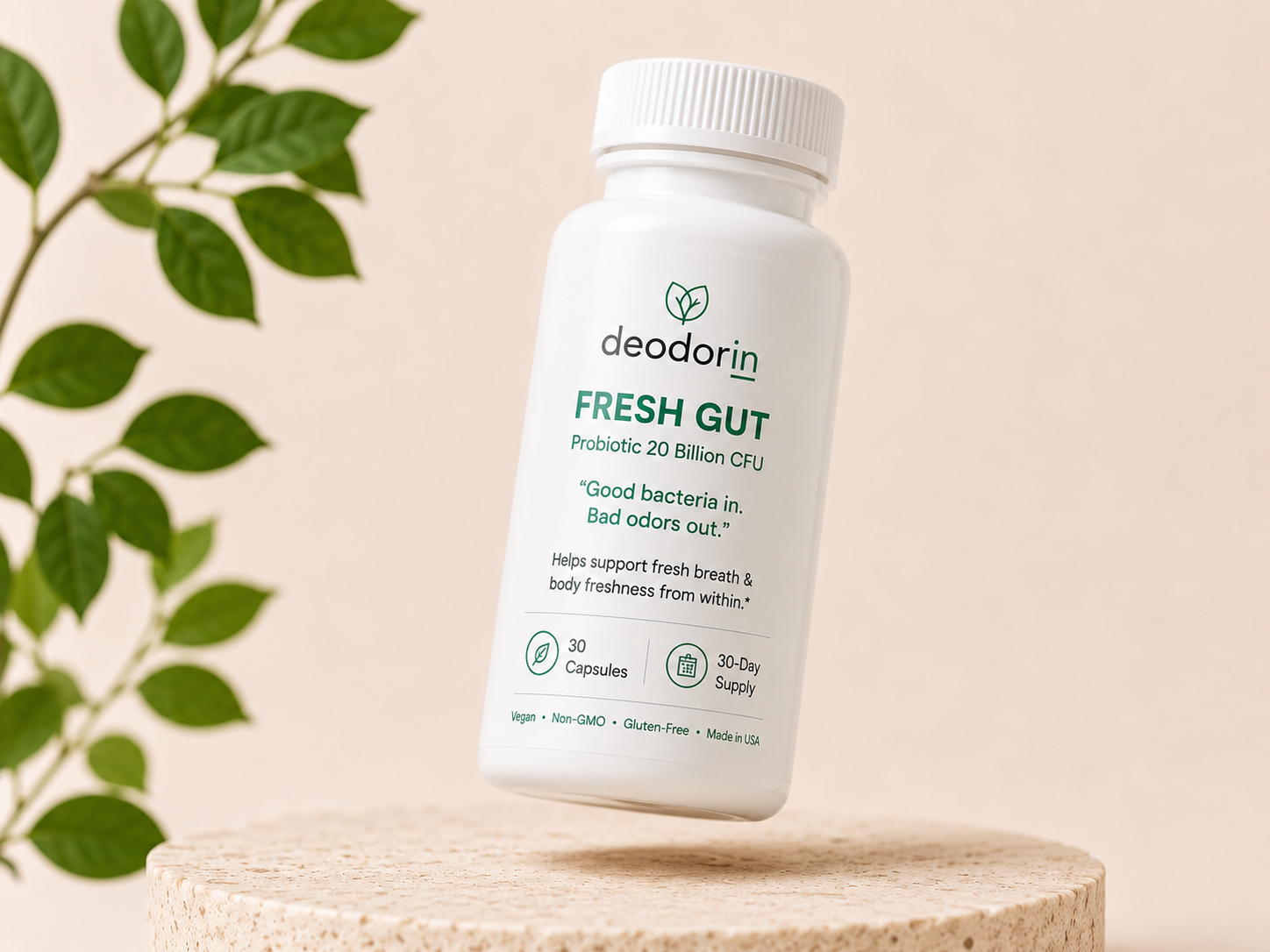 Fresh Gut